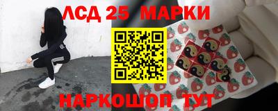 стаф Малгобек