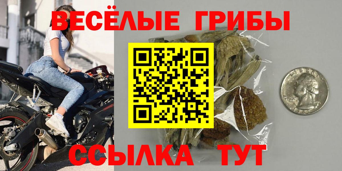 Галлюциногенные грибы прущие грибы  Вход с VPN  Тайшет  Галлюциногенные грибы MAGIC MUSHROOMS 